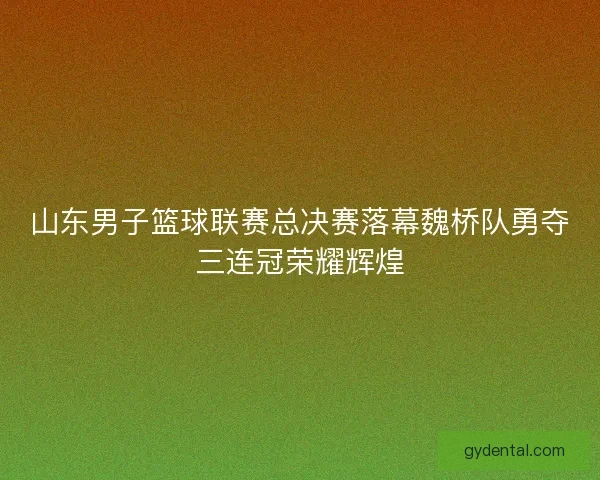 山东男子篮球联赛总决赛落幕魏桥队勇夺三连冠荣耀辉煌